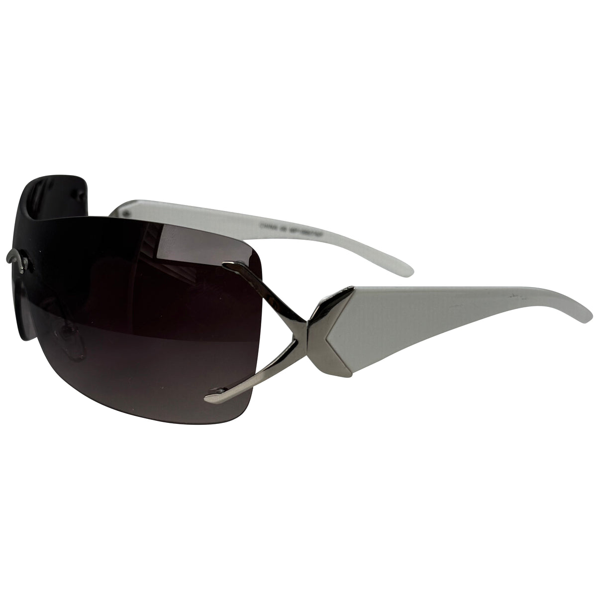 EXPRESS Shield Sunglasses